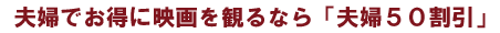 「夫婦50割引」大成功!2007年夏からは制度化へ!